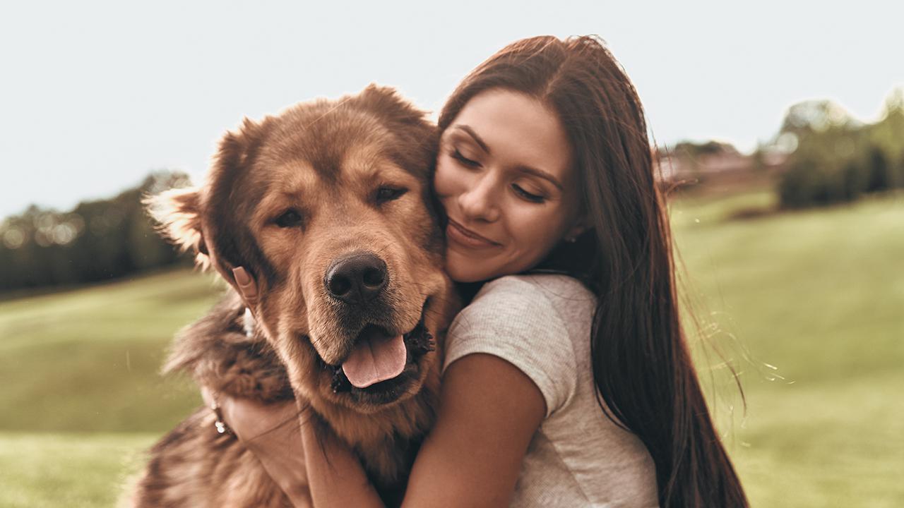Pawsitively Celebrating International Dog Day