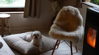 Cozy Belgian gateways