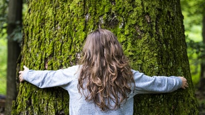 Nature Lover?