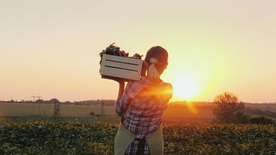 FOODHEALTHY1