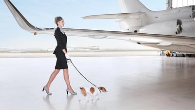 Luxaviation3