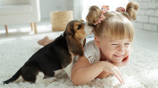 Pawsitively Celebrating International Dog Day