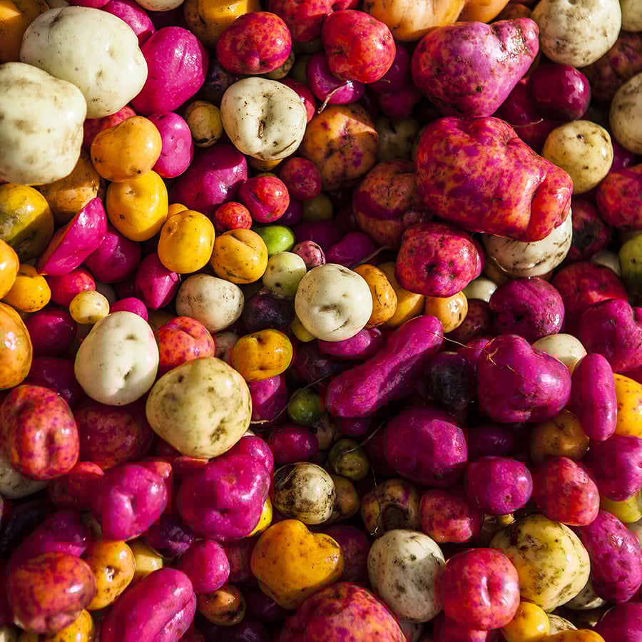Tasty @ colorful travel in Brussels, Peru_LBmedia