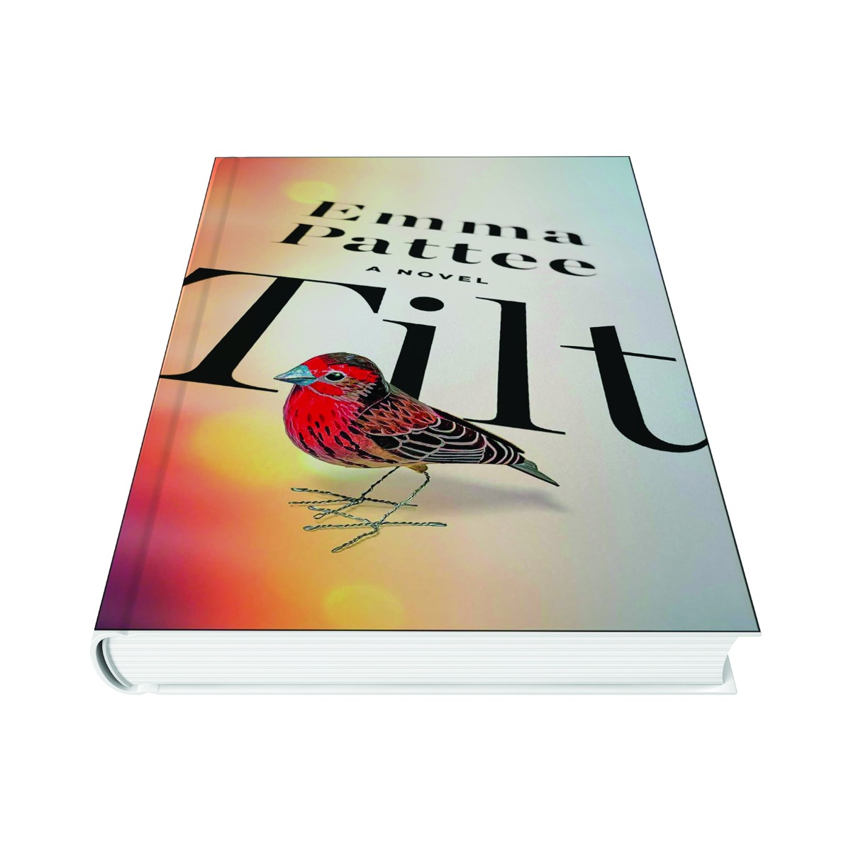 Tilt - Emma Pattee - March, 25 2025